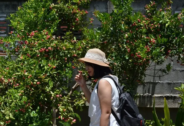 Village and Organic Farm Touring, northern Thailand