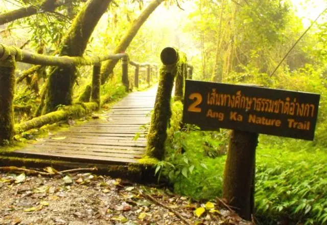 The Summit & Ang Ka Nature Trail, northern Thailand